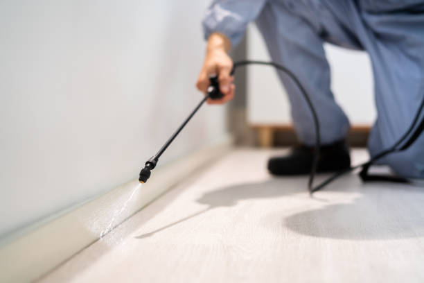 Licensed Pest Control service in Hokendauqua, PA - Show Me Pest Control